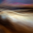 Tigerland, 2011 - pigment print 48x33cm