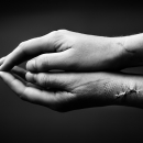 Scars, 2007