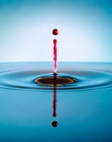 Droplet, 2009 Droplet, 2009